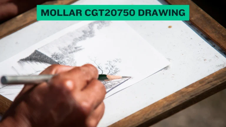 Mollar CGT20750 Drawing