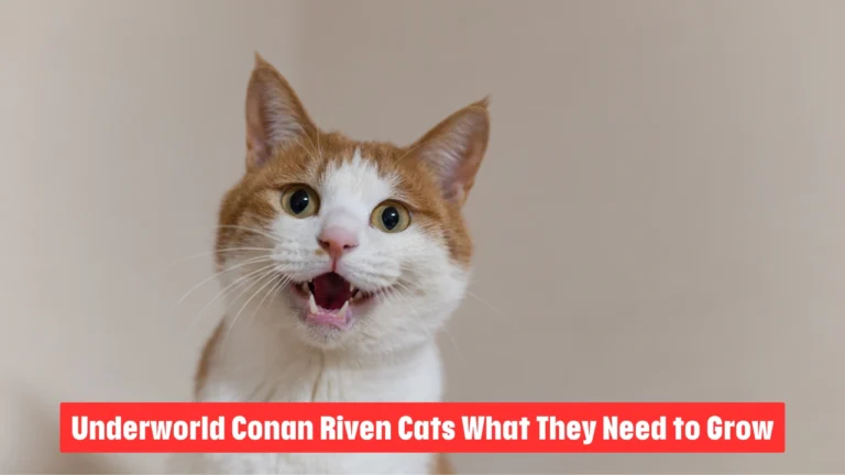 Underworld Conan Riven Cats What They Need to Grow