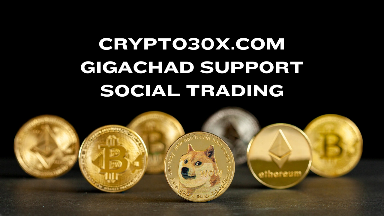 Crypto30x.com Gigachad Support Social Trading